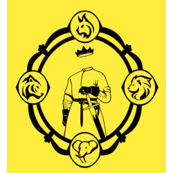 Camiseta Fiore dei Liberi