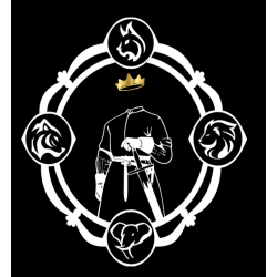 Camiseta Fiore dei Liberi
