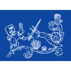 Camiseta Medieval Fight