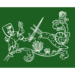 Camiseta Medieval Fight