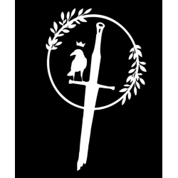 Camiseta tecnica, The Wanderer (Raven)