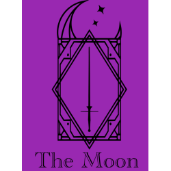 Camiseta The Moon ( Feder )